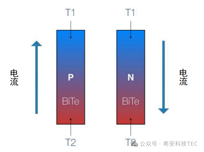 TEC ເຮັດວຽກແນວໃດ?